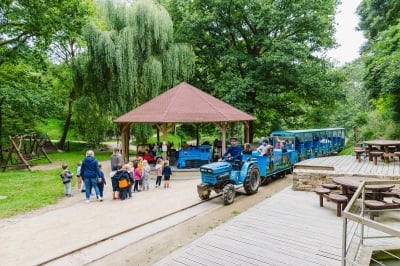 Un petit train bleu tracté par un tracteur s'arrêtant près d'un manège, entouré d'un espace verdoyant où des familles et des enfants profitent d'activités de plein air.
