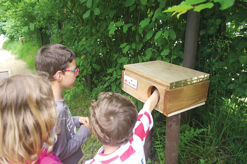 Des enfants plongent leurs mains dans des boîtes tactiles, éveillant leur sens du toucher avec des surprises naturelles.