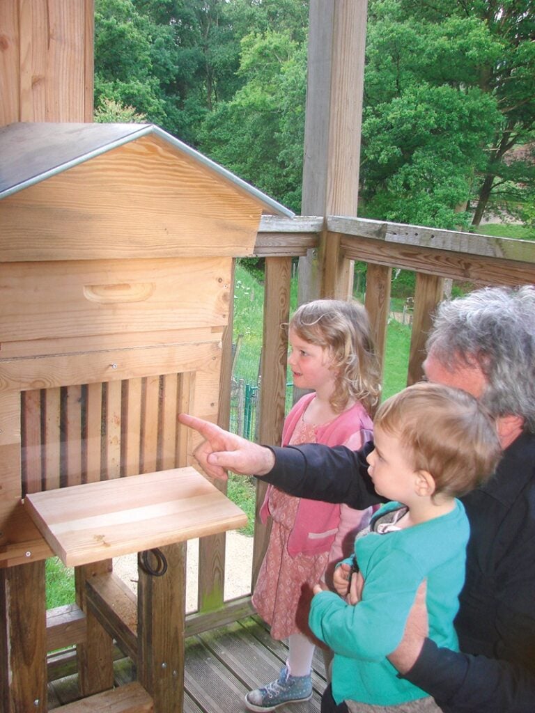 Un grand-père et deux jeunes enfants observent attentivement une ruche vitrée, découvrant l'univers fascinant des abeilles. Une opportunité unique d'approcher ces pollinisateurs essentiels.