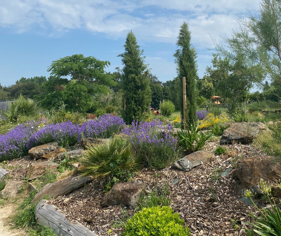 Une vue pittoresque d'un jardin méditerranéen, où des buissons de lavande violette contrastent avec des arbres élancés et des rocailles. Le ciel bleu clair et les plantes luxuriantes créent une atmosphère paisible et naturelle.