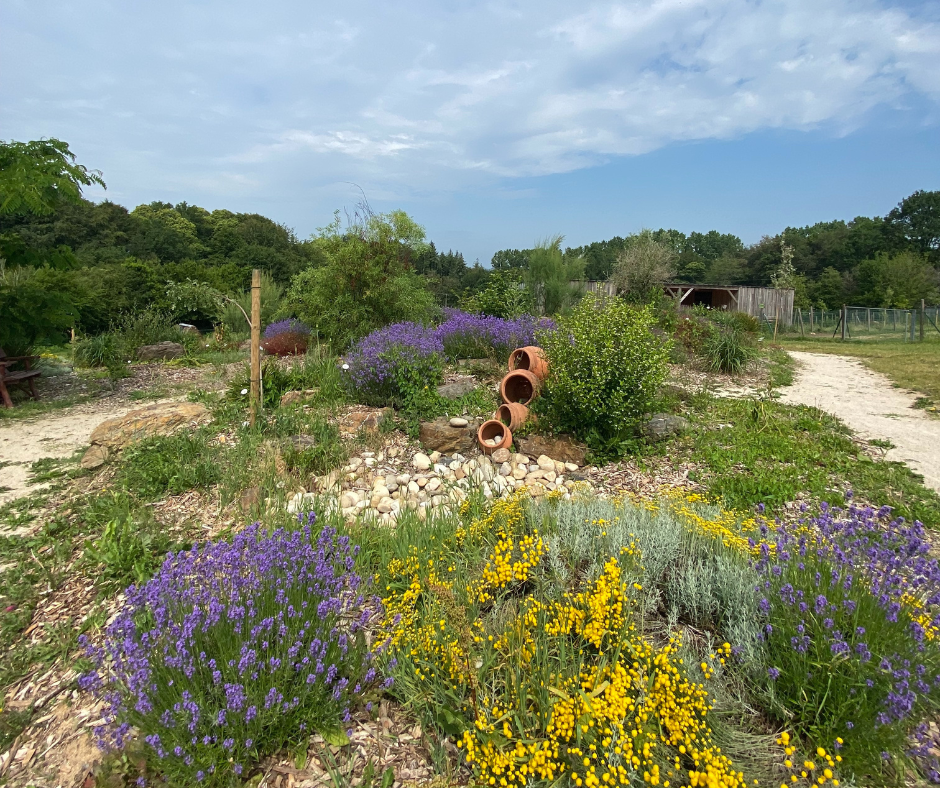 Jardin méditerranéen