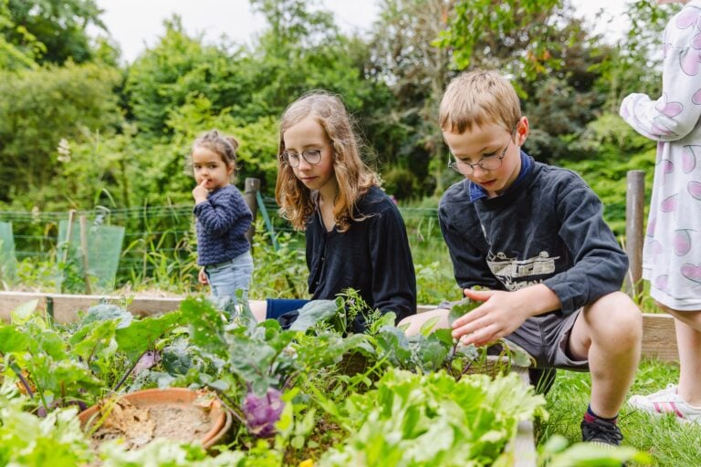 Deux enfants, concentrés, observant et touchant les feuilles des légumes dans un carré potager. Une petite fille en arrière-plan goûte une légumineuse, reflétant l'engagement interactif avec la nature et l'apprentissage des produits du jardin.