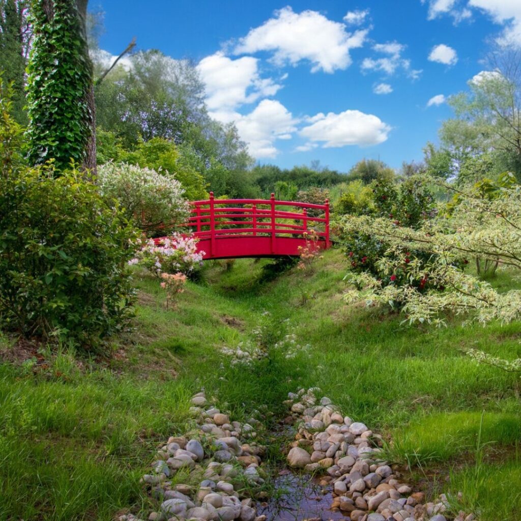 Un élégant pont rouge en bois traverse un petit ruisseau entouré de galets dans un jardin luxuriant. Les arbustes fleuris et la verdure forment un cadre paisible, accentué par un ciel bleu avec quelques nuages blancs.