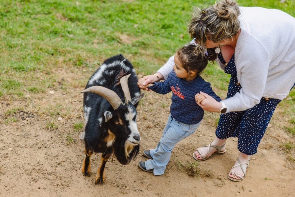Une petite fille accompagnée d'une adulte caressant un bouc nain noir et blanc, illustrant une interaction douce et pédagogique dans la mini-ferme.