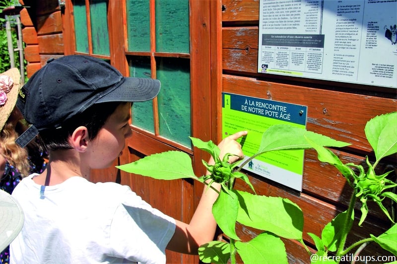 Enfant en train de lire un panneau explicatif intitulé 'À la rencontre de notre pote âgé', dans un cadre naturel avec un bâtiment en bois et des plantes à proximité, illustrant un parcours pédagogique interactif.