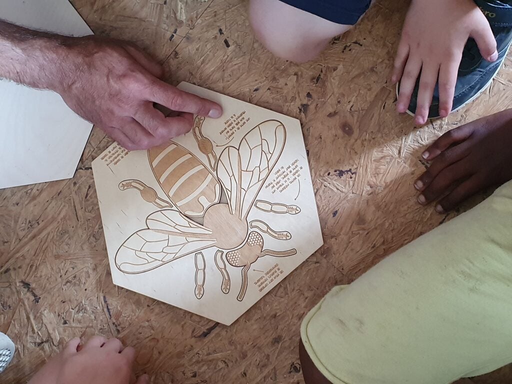 Des enfants et un adulte explorant un schéma pédagogique en bois représentant les différentes parties du corps d'une abeille, dans un cadre éducatif et ludique.