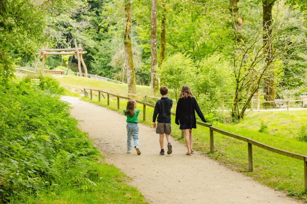 Trois enfants marchant sur un sentier ombragé et bordé de végétation, explorant un parcours botanique au cœur du parc, entouré d'une ambiance paisible et verdoyante.
