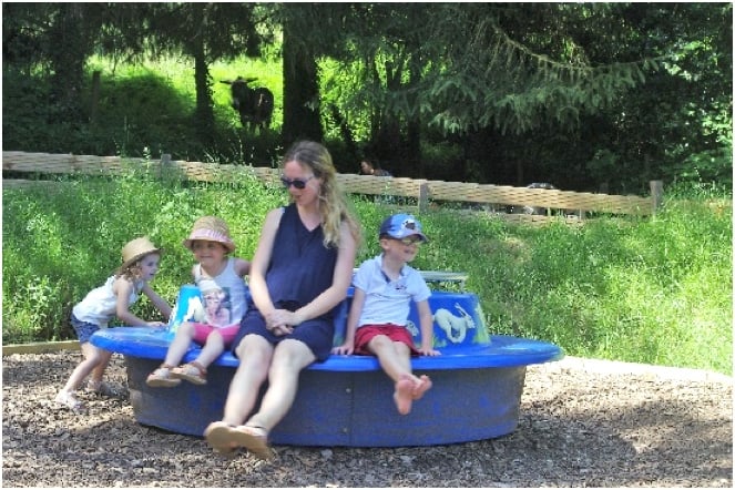 Une mère partage un moment joyeux avec ses trois jeunes enfants sur un tourniquet classique bleu, entourés d'une végétation verdoyante.
