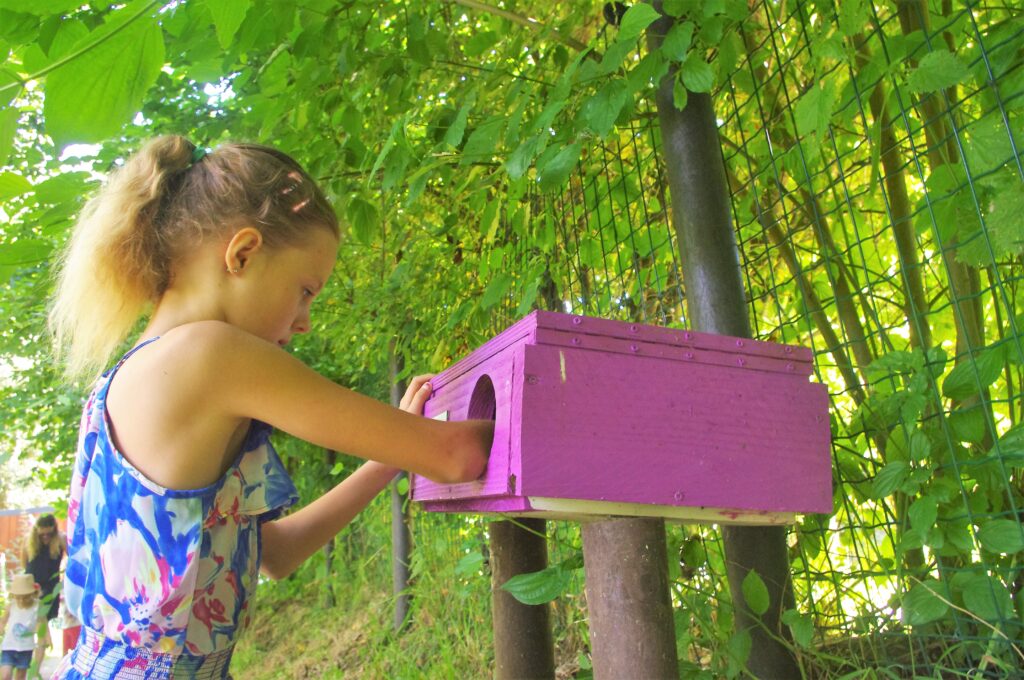Une jeune fille aux cheveux blonds attachés en queue de cheval explore avec curiosité une boîte en bois peinte en violet. Elle est debout dans un cadre naturel luxuriant, entourée d'arbres et de feuillage vert. La boîte est fixée sur un support en bois à hauteur d'enfant, dans un environnement ombragé qui semble inviter à la découverte Derrière elle, d'autres enfants peuvent être vus en arrière-plan, explorant le même espace verdoyant.