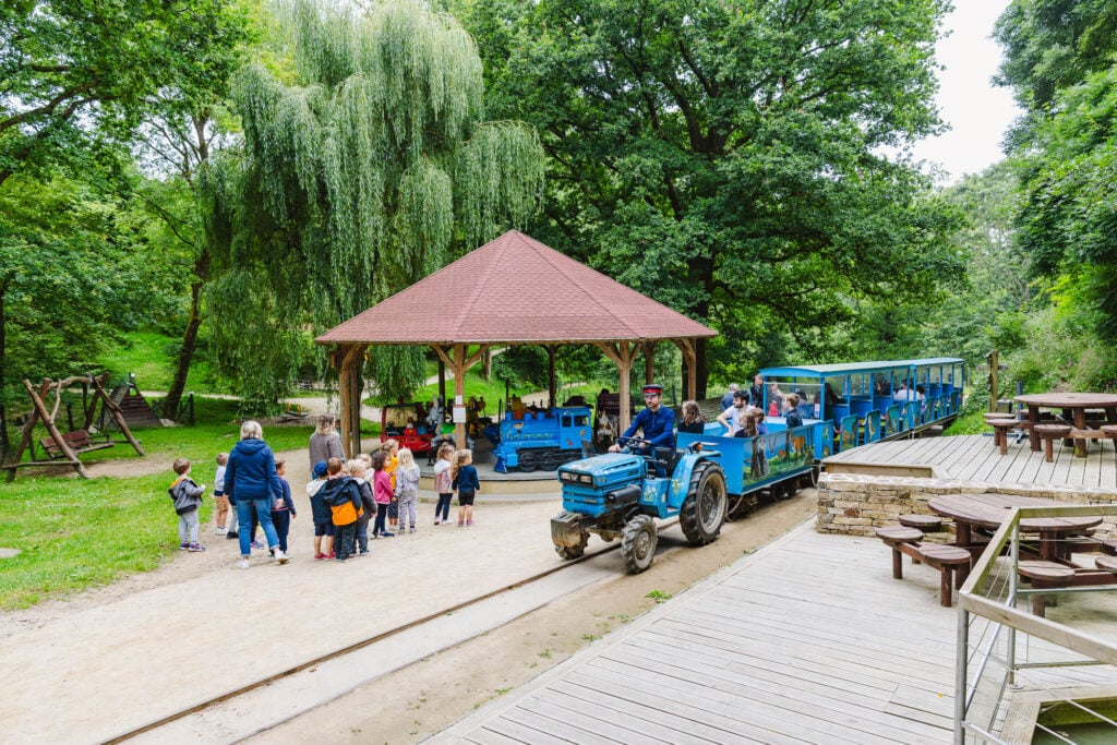 Un petit train bleu, conduit par un chauffeur souriant, passe devant un manège couvert dans un cadre verdoyant. Des familles et des enfants se rassemblent autour, prêts à monter ou profitent de l'aire de jeux et des tables de pique-nique à proximité. L'environnement naturel, avec des arbres et une pelouse bien entretenue, invite à la détente et à l'amusement.