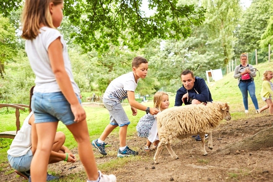 Des enfants et des adultes entourant un mouton blanc dans la mini-ferme, partageant un moment convivial et éducatif en plein air.