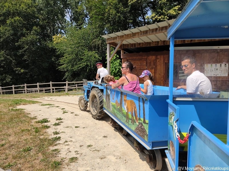 Un train tiré par un tracteur bleu traverse un chemin ouvert sous un ciel clair. Les wagons, remplis de familles profitant de la balade estivale, sont entourés de verdure dense, ajoutant à l'ambiance relaxante de l'expédition dans le parc.