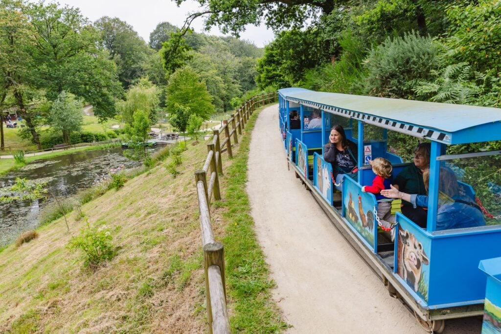 Un petit train couvert, décoré de peintures colorées d'animaux de la forêt, serpente le long d'un sentier étroit à côté d'un étang paisible, où des plantes aquatiques fleurissent. Les passagers, des familles avec enfants, admirent la vue tranquille tout en discutant joyeusement.
