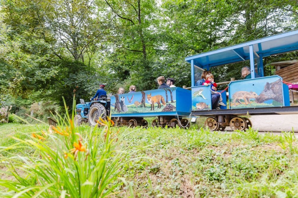 Un tracteur bleu tire un petit train de wagons décorés de peintures d'animaux sauvages, transportant des enfants et des adultes à travers un chemin herbeux bordé d'arbres luxuriants. Les passagers semblent profiter d'une paisible balade dans le parc.