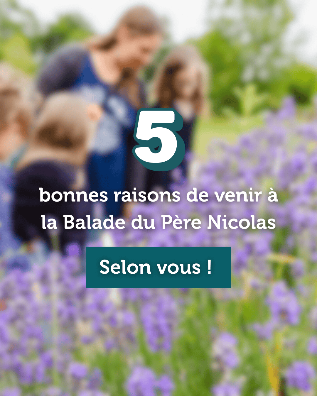 Lire la suite à propos de l’article 𝟓 𝐛𝐨𝐧𝐧𝐞𝐬 𝐫𝐚𝐢𝐬𝐨𝐧𝐬 𝐝𝐞 𝐯𝐞𝐧𝐢𝐫 𝐚̀ 𝐋𝐚 𝐁𝐚𝐥𝐚𝐝𝐞 𝐝𝐮 𝐏𝐞̀𝐫𝐞 𝐍𝐢𝐜𝐨𝐥𝐚𝐬 ! 🌿
